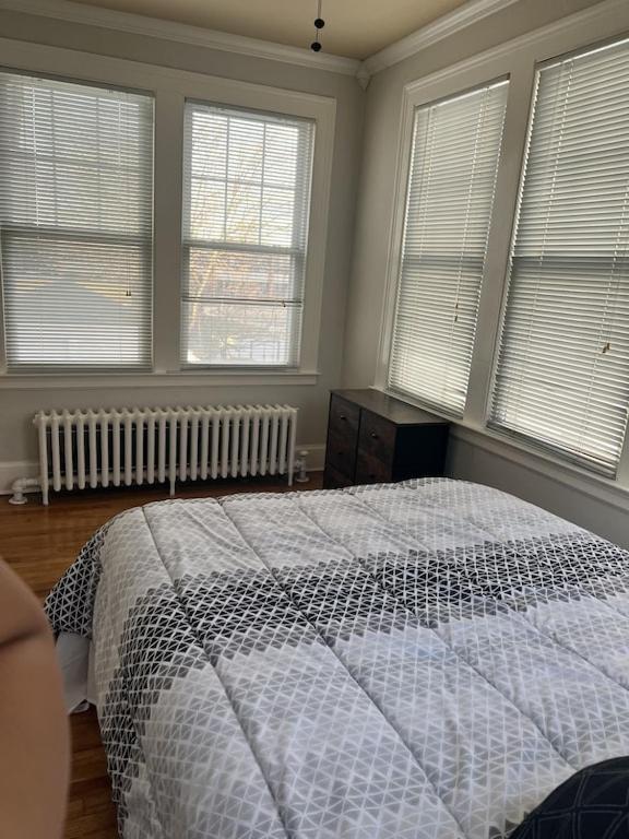 Secret Oasis In The Heart Of Apartment Hartford