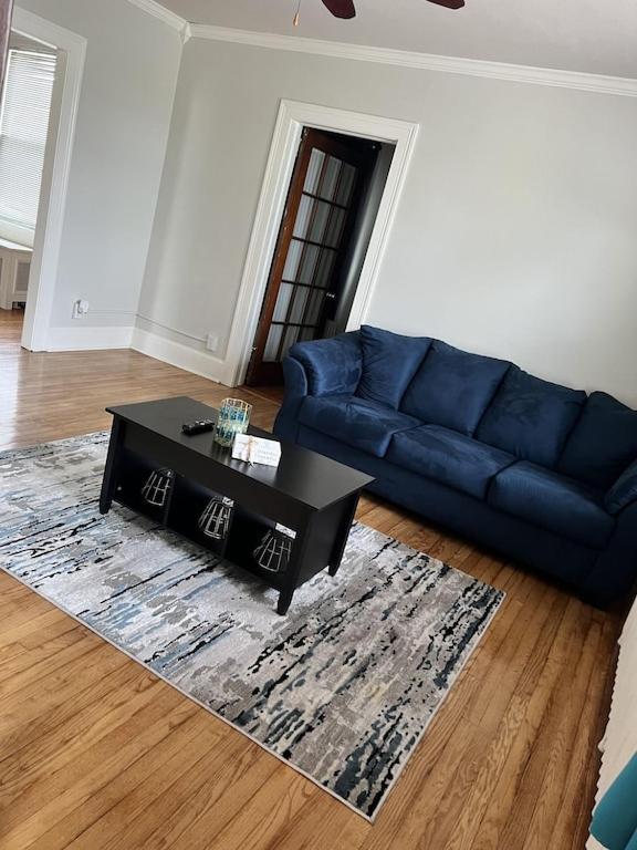 Apartment Secret Oasis In The Heart Of Hartford