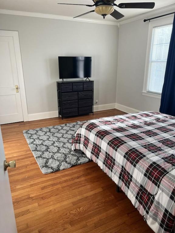Secret Oasis In The Heart Of Apartment Hartford